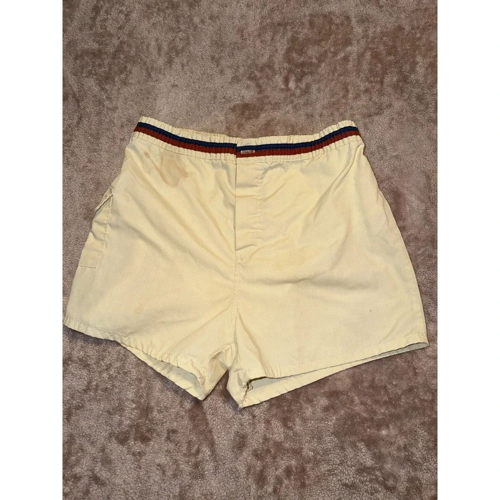 Vintage 60's 70's Distressed Swim Trunks